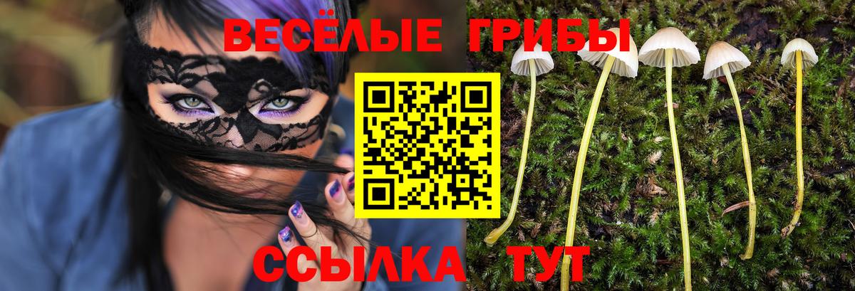 Галлюциногенные грибы Cubensis Городец