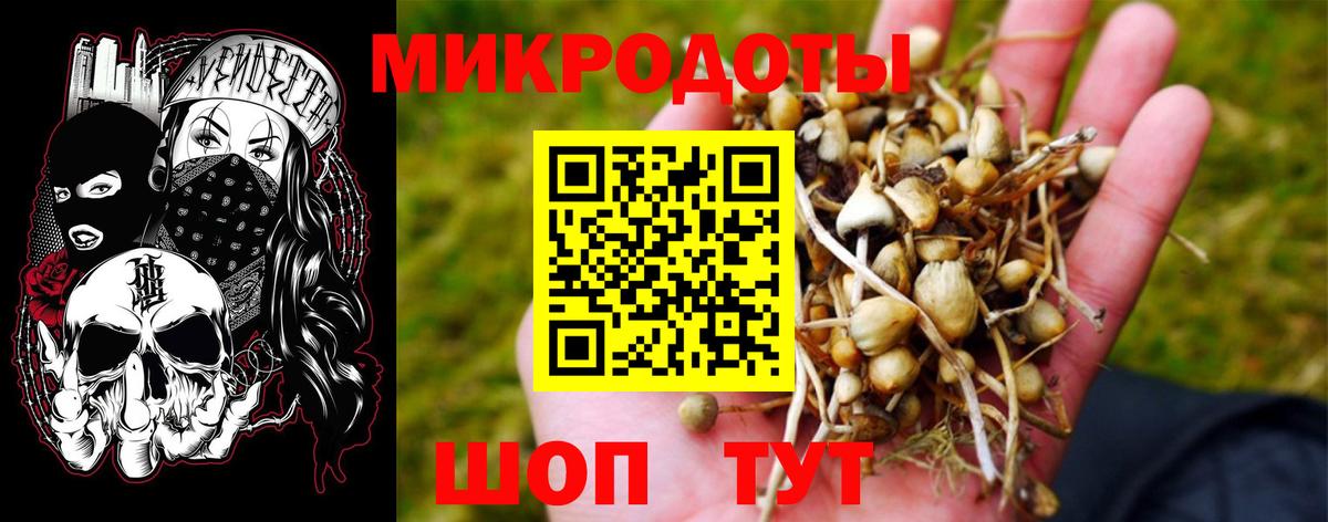 Псилоцибиновые грибы GOLDEN TEACHER  Галлюциногенные грибы прущие грибы  Городец  Вход с VPN 